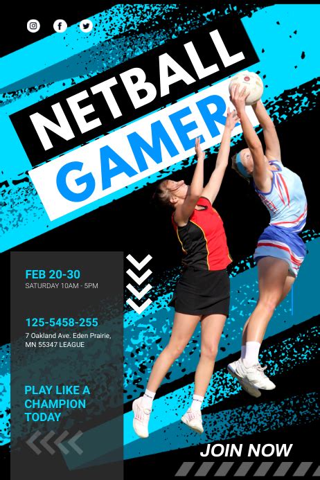 Netball Poster 的图像结果