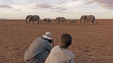 Kenya And Its Spectacular Safari Adventure : In Pictures