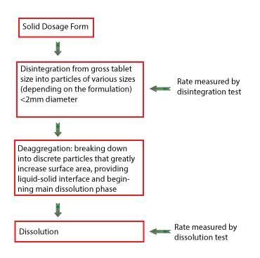 Image result for Tablet Dissolution Receprocating