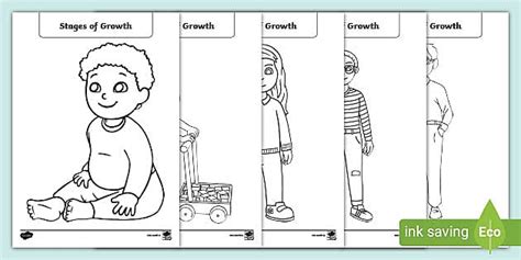 Stages of Growth Colouring Pages (teacher made) - Twinkl