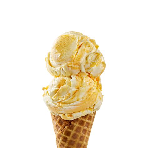 CASCADE GLACIER ICE CREAM OLD FASHIONED VANILLA - US Foods CHEF'STORE