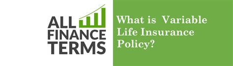 what-is-variable-life-insurance-policy - All Finance Terms