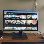MSI PRO MP251 24.5 Inch Full HD Office Monitor - 1920 x 1080 IPS Panel ...