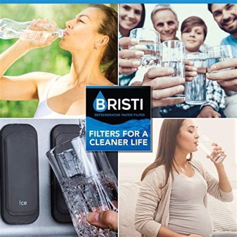 BRISTI Twist-in Refrigerator Water Filter 2-Pack LP400P-2PACK at Lowes.com