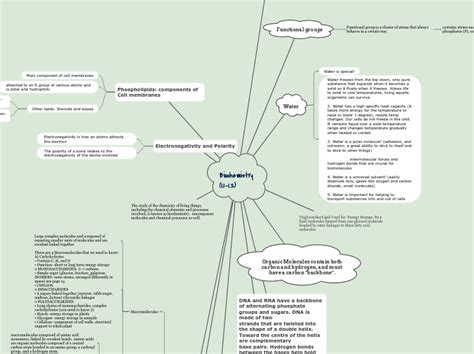 Biochemistry MindMap 的图像结果