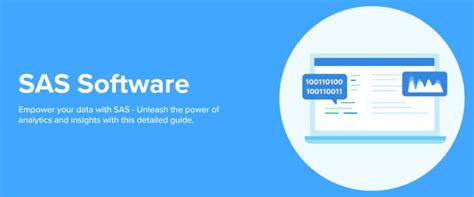 Image result for SAS Virtualization Software