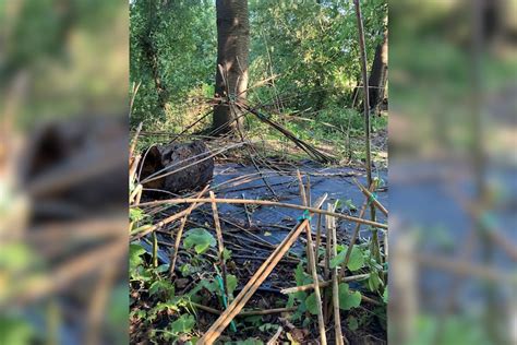 La cabane en saule de l'école Saint-Martin d'Antheit a été vandalisée à ...