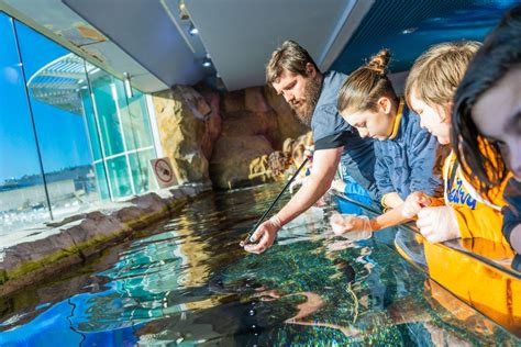 Ocean Squad: Mini Marine Biologist: 8-10 Year Olds, Rope Walk, Coxside ...