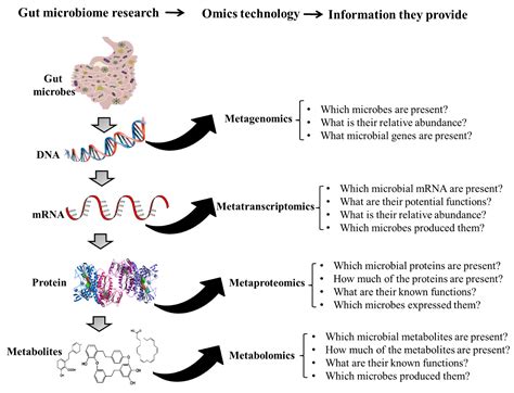 Challenges and Perspective in Integrated Multi-Omics in Gut Microbiota ...