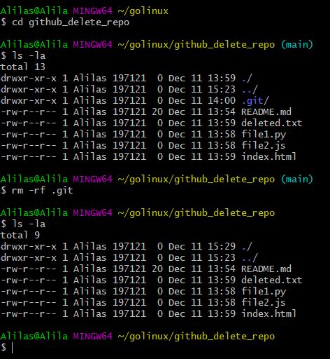 How to Remove Repository in GitHub 的图像结果