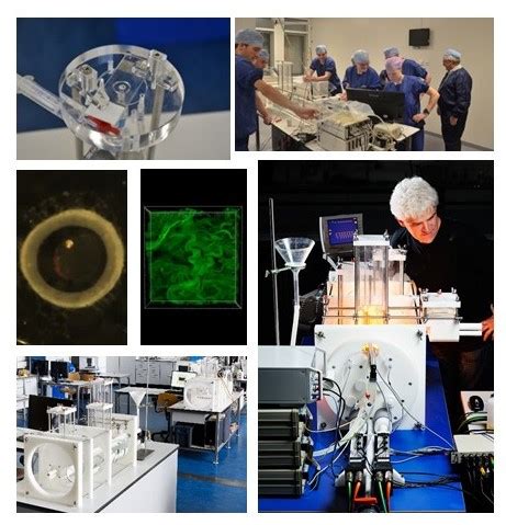 Image result for Experiments Examples