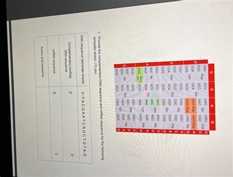 How to List the Complementary Non-Coding DNA Sequence 的图像结果