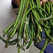 Fresh Beans Cow pea (Chawli) 250 g : Amazon.in: Grocery & Gourmet Foods