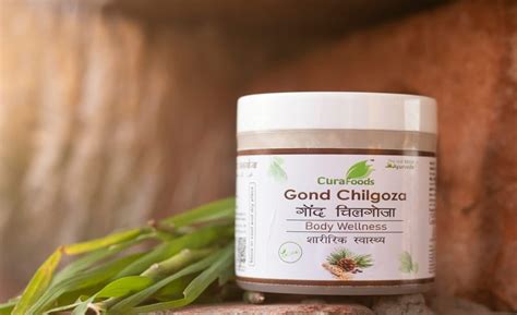 Cura Gond Chilgoza 50g (Pack of 2) : Amazon.in: Grocery & Gourmet Foods