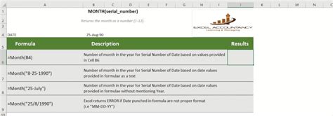 Image result for Excel Month Input Function