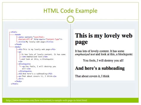 Image result for HTML Code Example Information Code