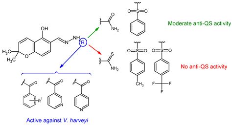 Small Schiff Base Molecules—A Possible Strategy to Combat Biofilm ...