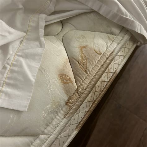 Sonesta Simply Suites Lansing - UPDATED Prices, Reviews & Photos