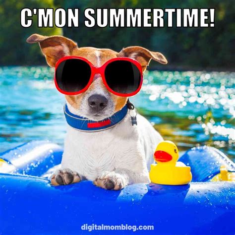 Summer Memes 2022 - Funny Images About The Hottest Season