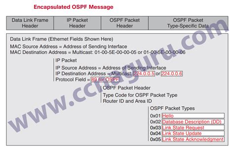 Image result for Ospf Header Format Example Step by Step