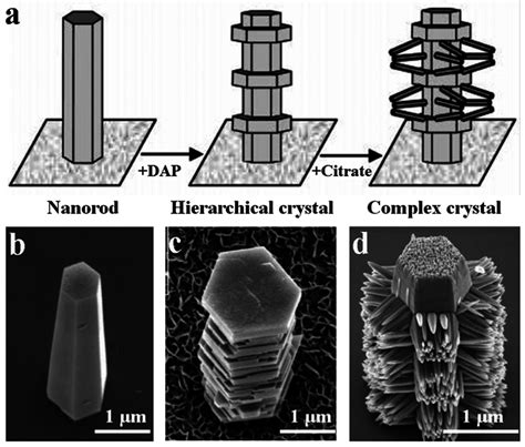 A Review on the Fabrication of Hierarchical ZnO Nanostructures for ...