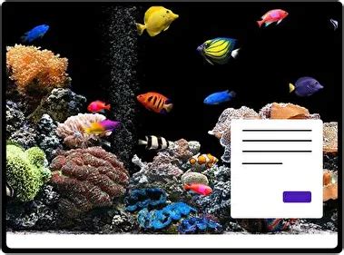 Image result for Floating Button CSS/HTML Design