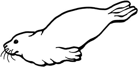 Seal Clipart - Free and Printable Images for Learning and Creativity