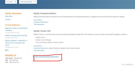 MySQL Database Download 的图像结果