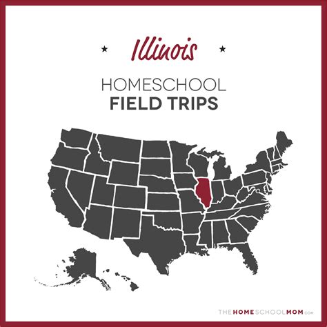 Homeschooling In Illinois