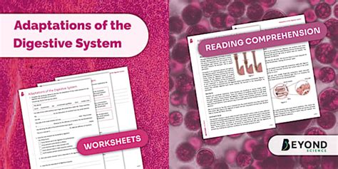 Adaptations of the Digestive System Reading Comprehension