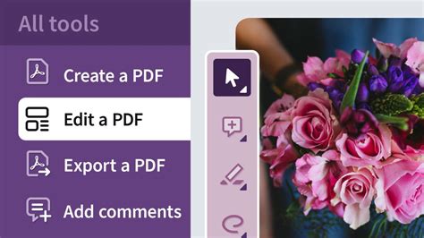 Adobe Acrobat Pro Tutorial Beginner 的图像结果