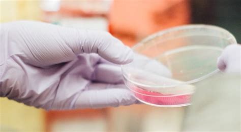 World's 1st Artificial Sperm Is Almost Real, Will Benefit 23.5 Crore ...