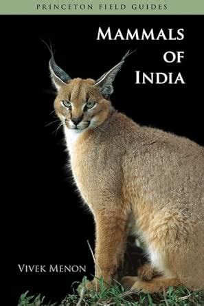 Buy Mammals of India (Princeton Field Guides) Book Online at Low Prices ...