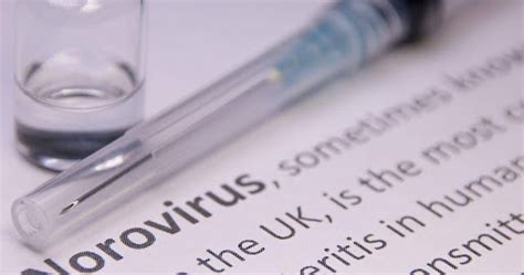 Norovirus: Symptoms, Causes, Prevention & Management Guide