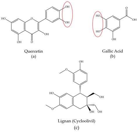 Biosynthesis of Gold and Silver Nanoparticles Using Phytochemical Compounds