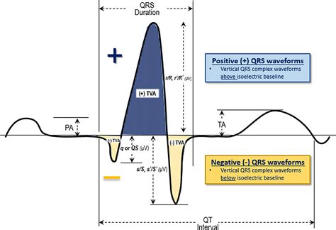 Computerized electrocardiogram data transformation enables effective algorithmic differentiation ...