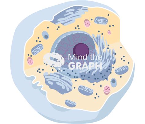 Cell Structure with Name Sign 的图像结果