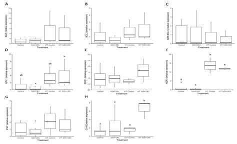 Glutathione Ethyl Ester Protects In Vitro-Maturing Bovine Oocytes ...