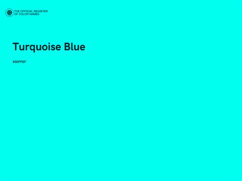 Image result for Turquoise Blue Color