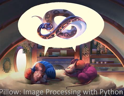 Image result for Screen Rotate Python