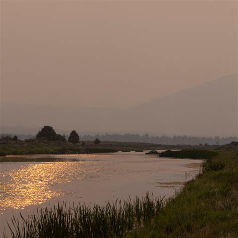 Image result for Bootleg Fire Behavior