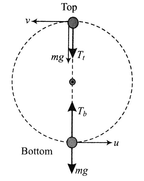 A small sphere tied to the string of length `0.8m` is describing a ...