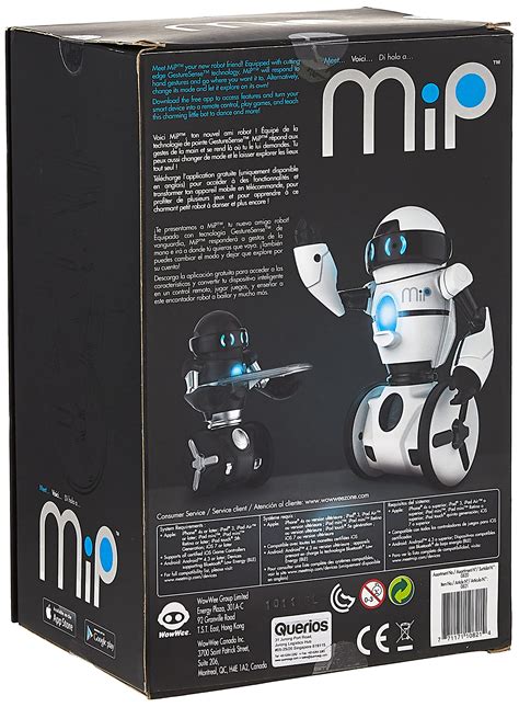 MIP Balancing Robot 的图像结果