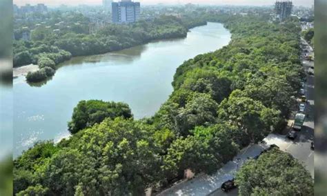 WRD relocates 5,000 families from Adyar River boundary so far