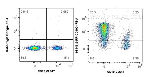 CD100 antibody (98345-2-RR) | Proteintech