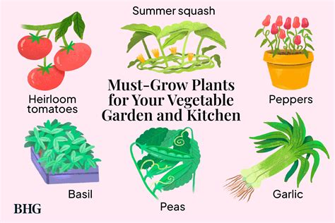 Plants To Grow Things In Gardening For Beginners| Edible Northeast