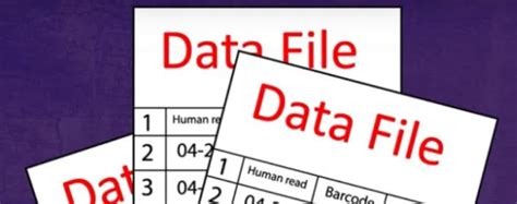 Data File 的图像结果