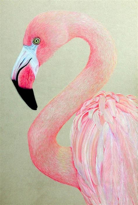 flamingo drawing painting