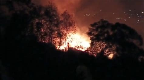 Meghalaya's East Khasi Hills imposes ban on forest burning amid ...