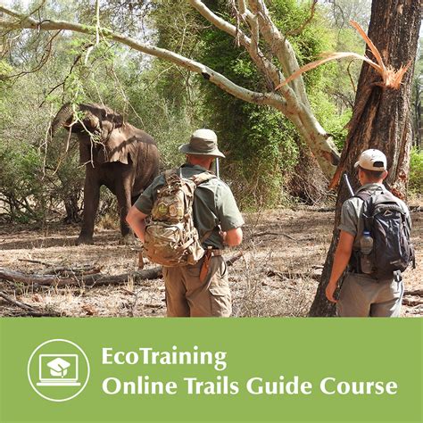 Eco Training Programs 的图像结果